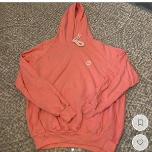 Big Bud Press Hoodie in Flamingo Pink